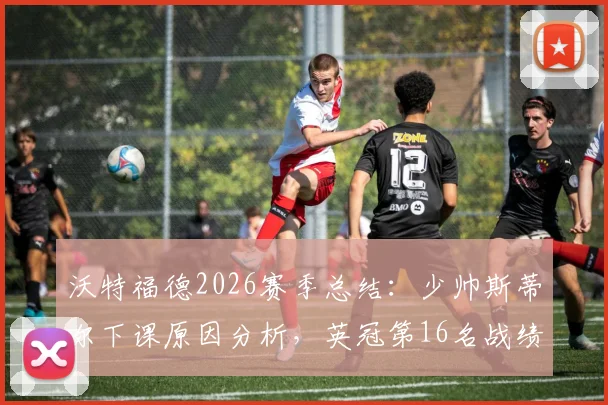沃特福德2026赛季总结:少帅斯蒂尔下课原因分析,英冠第16名战绩回顾与新帅候选人前瞻